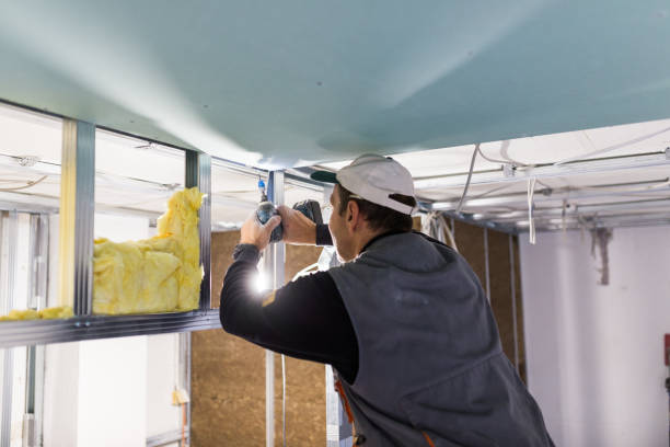 Best Residential Insulation in East Douglas, MA