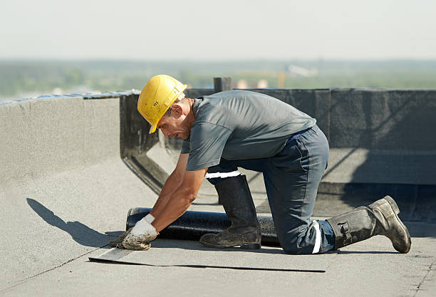 Best DIY Insulation Kits and Guidance in East Douglas, MA