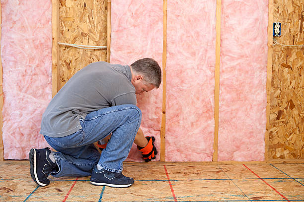 Best Blown-in Insulation in East Douglas, MA