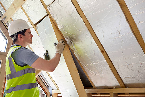 Best Geographic-Specific Insulation Services in East Douglas, MA