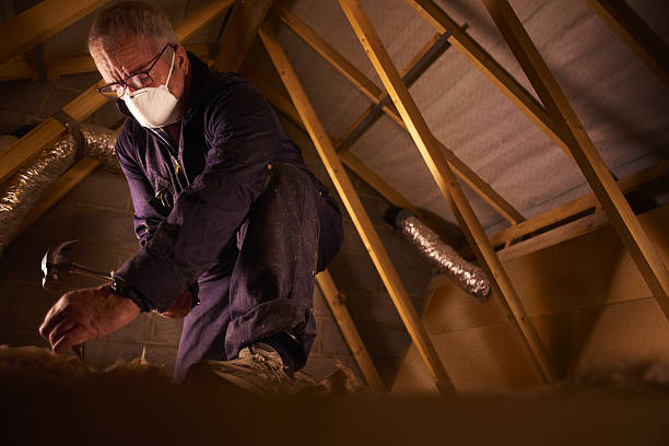 Best Eco-Friendly Insulation in East Douglas, MA